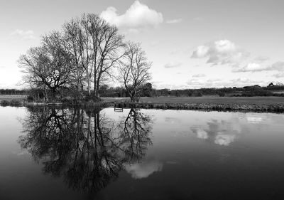 Reflection of tree in lake against sky