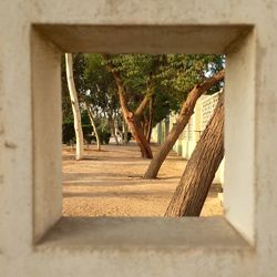 Built structure with trees in background