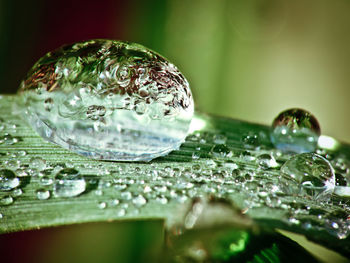 Close-up of water