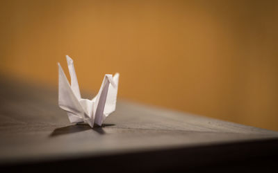 Close-up of paper on table