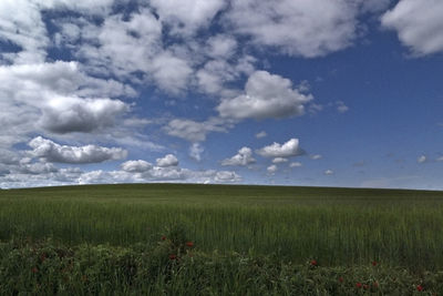 Scenic view of field against sky