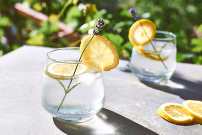 Cool lavender homemade lemonade with lemon slices and lavender flower. healthy summer soda drink