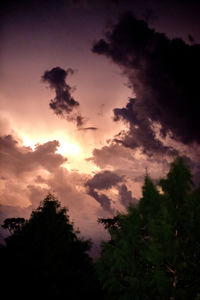 Low angle view of silhouette trees against sky during sunset