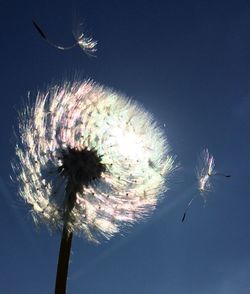 Low angle view of firework display