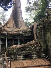 Statue of temple against trees