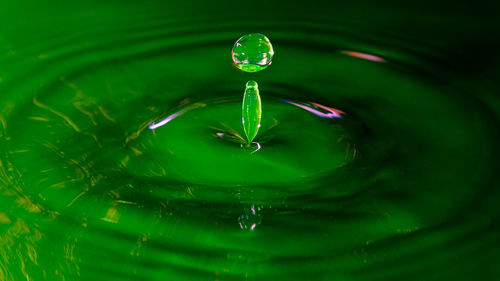 Close-up of drop falling on water