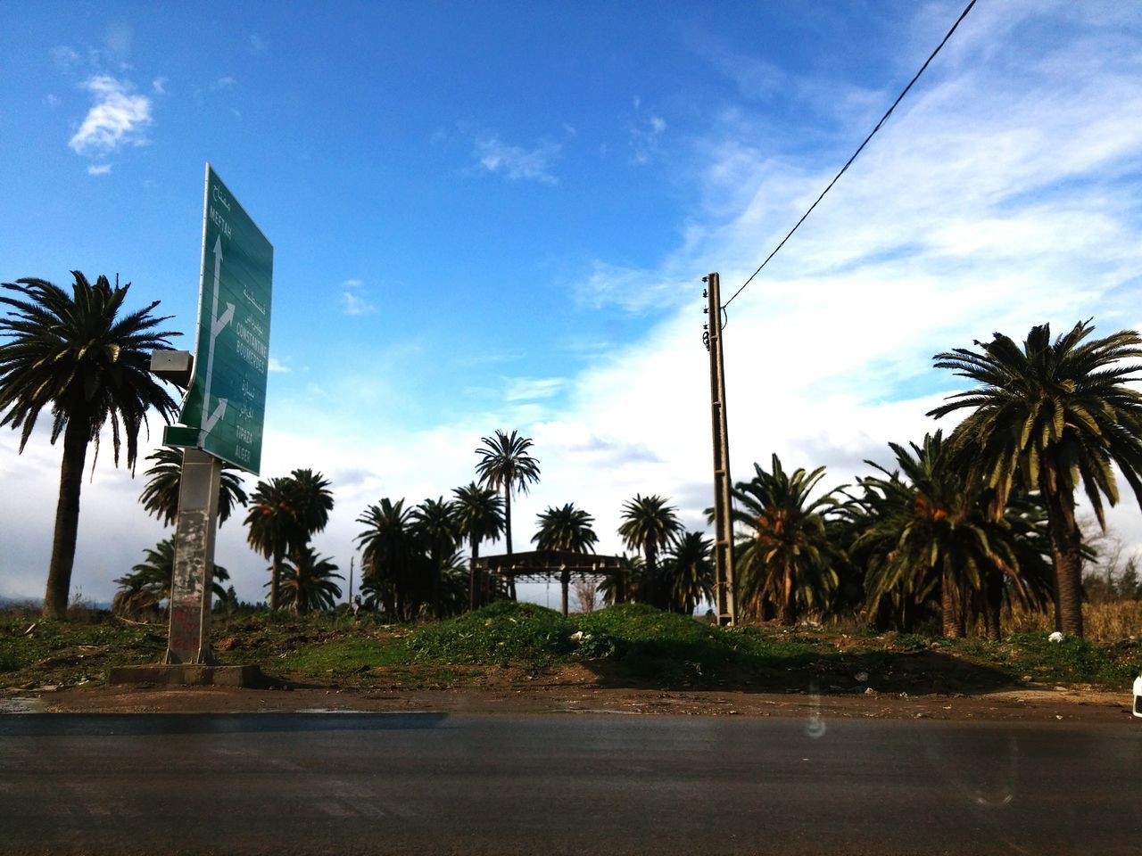 palm tree, sky, tree, cloud - sky, cloud, road, growth, low angle view, coconut palm tree, street, the way forward, blue, nature, built structure, day, sunlight, cloudy, outdoors, transportation, tree trunk