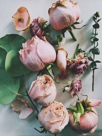 Close-up of pink roses