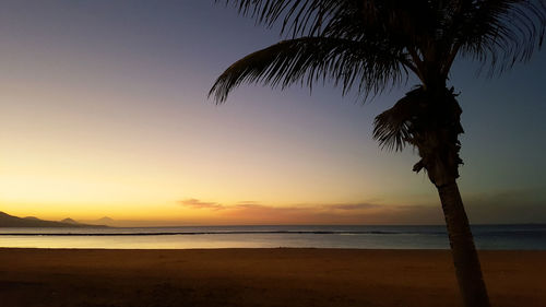 Silhouette palm trees on beach against sky during sunset