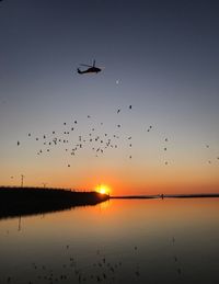 Silhouette birds flying against sky during sunset