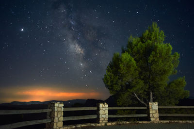 Low angle view of trees against sky at night