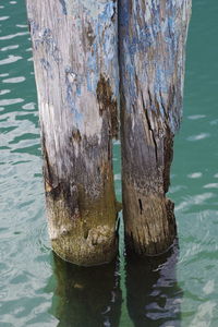 Close-up of wooden post in sea
