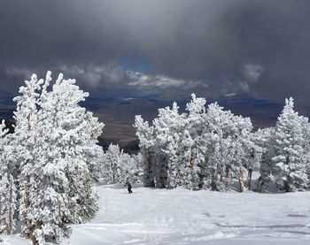 Silhouette of trees against cloudy sky