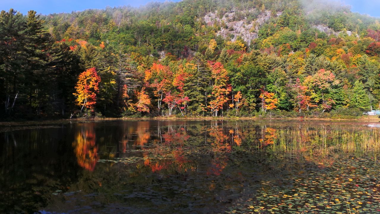 SCENIC VIEW OF AUTUMN TREES BY LAKE