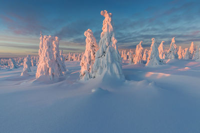 Panoramic view of snow covered landscape against sky