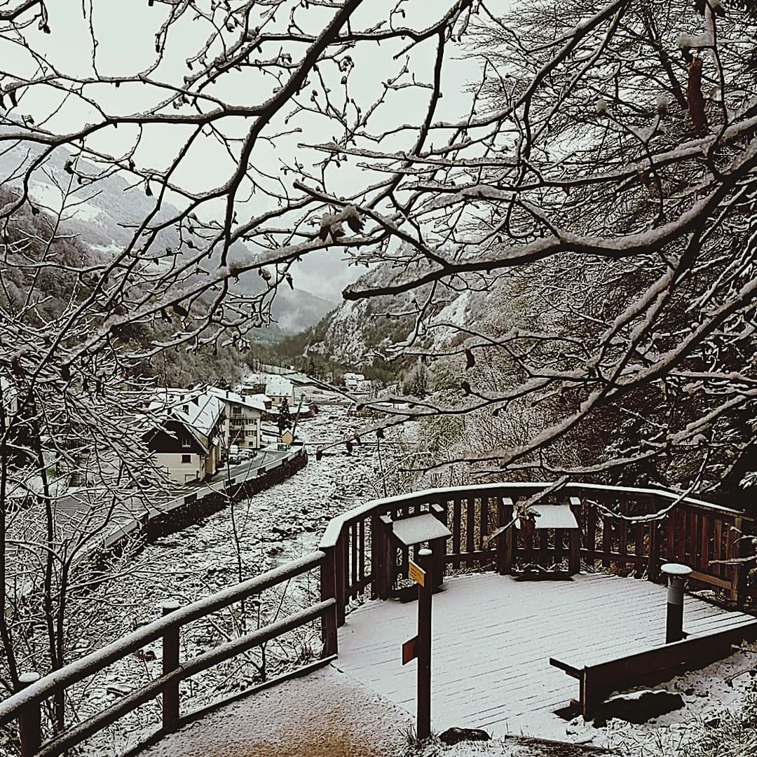 snow, winter, cold temperature, tree, plant, architecture, nature, bare tree, branch, built structure, railing, day, building exterior, no people, covering, beauty in nature, outdoors, water, building, snowing, snowcapped mountain