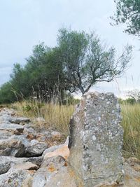 View of rocks by trees against sky