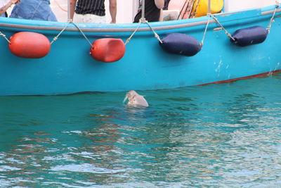 High angle view of man floating in swimming pool