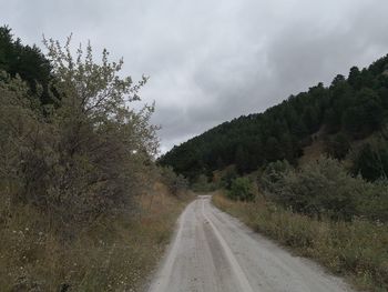 Road amidst trees against sky