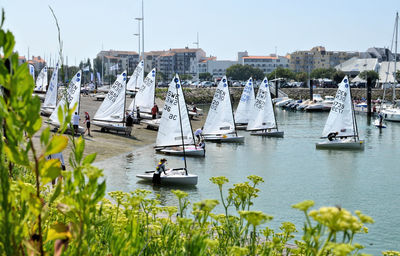 Competition sailboats in la rochelle in france.