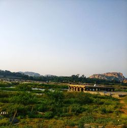 Scenic view of field against clear sky