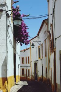 Houses against sky