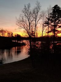 Silhouette of trees during sunset