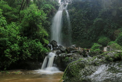 Scenic view of waterfall in forest