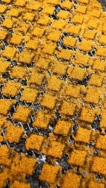 Full frame shot of yellow plant on land