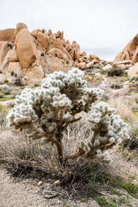 Rock formation on land against sky