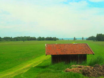 Scenic view of grassy field against sky