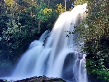 Scenic view of waterfall in forest