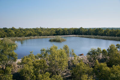 Scenic view of lake by trees against clear sky