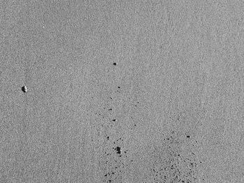 Full frame shot of tiled floor