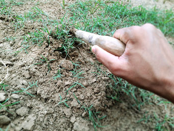 High angle view of hand holding cigarette