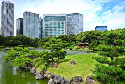 Trees and buildings in city against sky