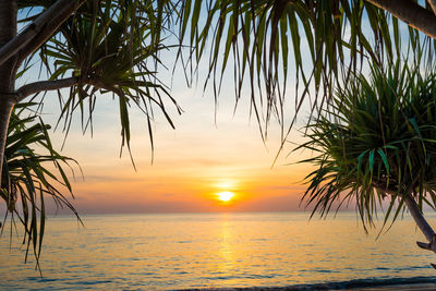 Scenic view of sea against sky at sunset