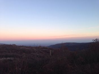 Scenic view of trees against clear sky during sunset