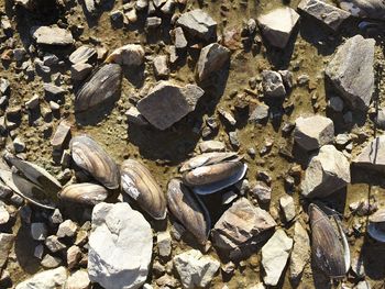 Full frame shot of stones