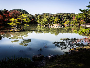 Scenic view of lake by trees against sky