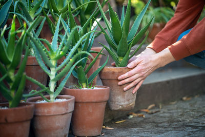 Close-up of farmer working on field