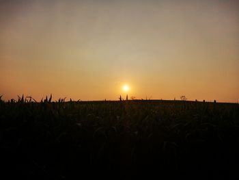 Scenic view of field against sky during sunset