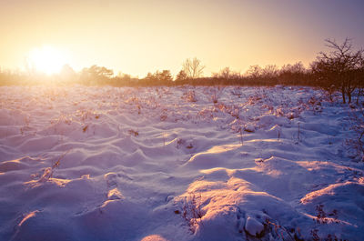 Scenic view of snow covered field against sky during sunset