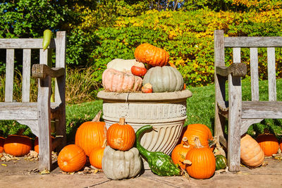 Pumpkins in yard during autumn