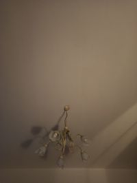 Close-up of electric lamp hanging against wall at home