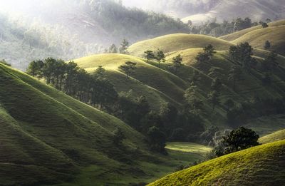 Scenic view of landscape