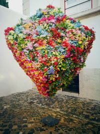 Colorful flowers hanging in front of building