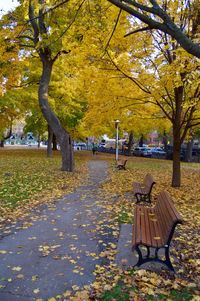 Bench in autumn