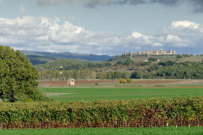 Scenic view of agricultural field against sky