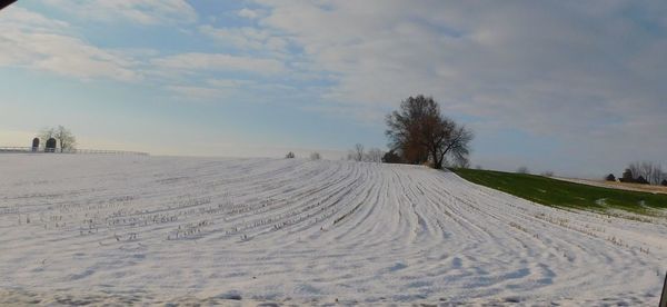 Tire tracks on snow covered land